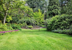 Optimiser l'expérience du jardin à Magnicourt-sur-Canche